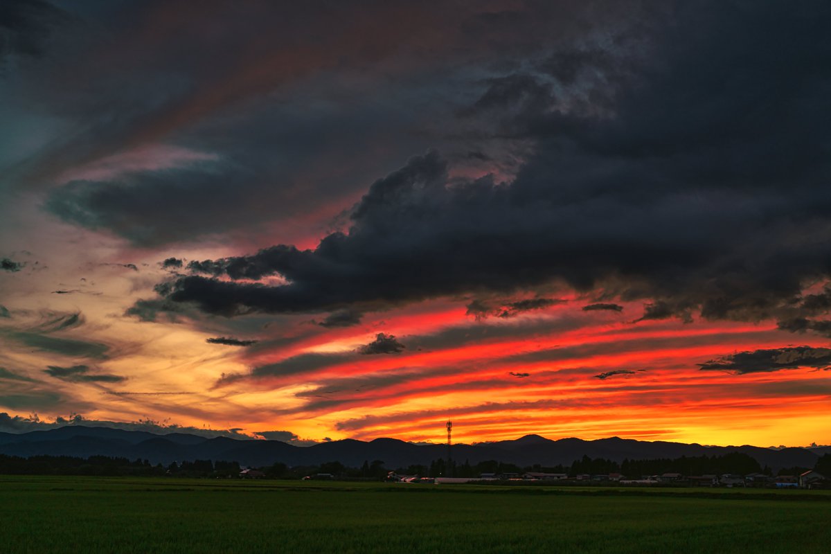 kiniomo's tweet photo. 巨大なフレイムサンバースト
#α7Riv #zeiss #batis40CF #ツァイス #Luminar4 https://t.co/dTUKfSX4Y5