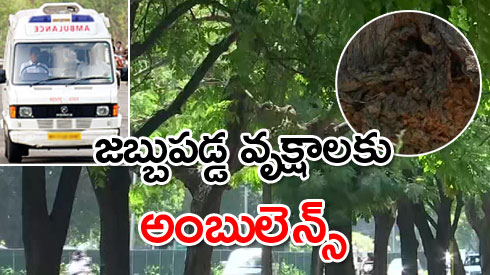 abntelugutv's tweet photo. జబ్బుపడ్డ వృక్షాల కోసం అంబులెన్స్‌ వ్యవస్థ

https://t.co/DTFfSnJGCg

#sicktrees #ambulances https://t.co/aqpNO4u6nM