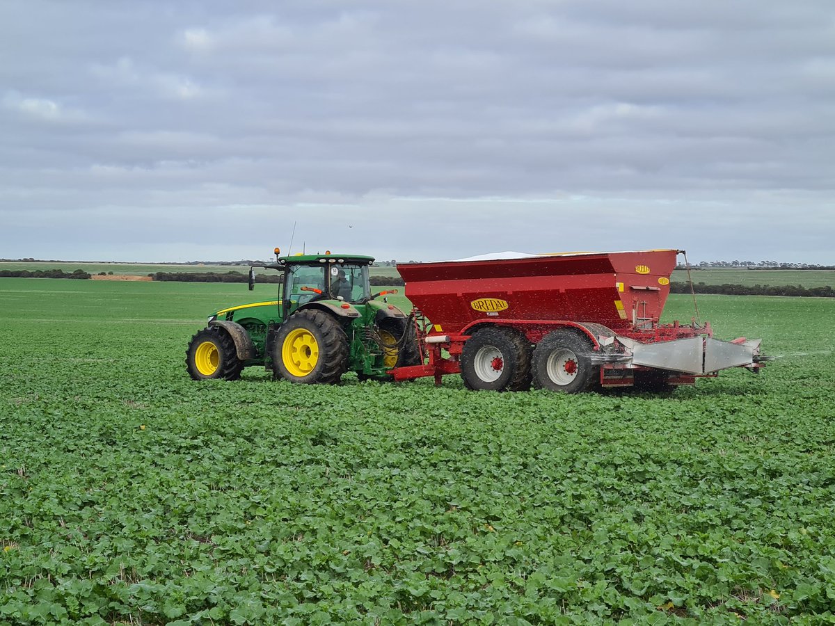 404 looking good moved along well over the last 4 weeks.