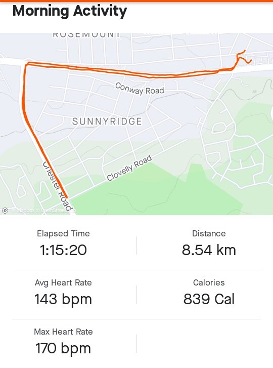 MTNDZML's tweet photo. Hill repeats done and dusted. A brutal workout, but I enjoyed every minute of it. #NinjaRunner #HalfManHalfMachine #FetchYourBody2020 https://t.co/cqfe0mrbJZ