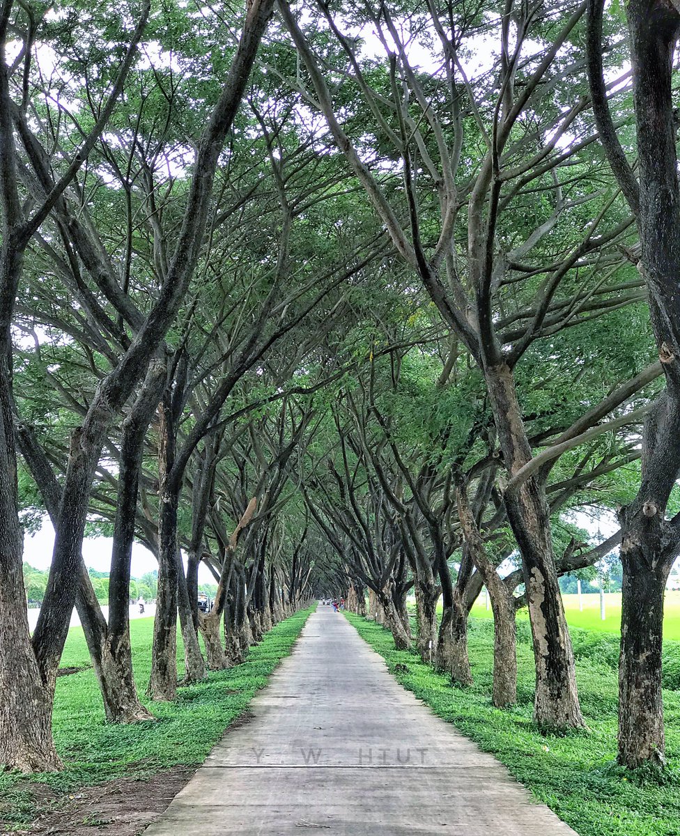 bobo25ster's tweet photo. #Nay_Pyi_Taw #Myanmar  #travelphotography #travel_photos #500pxrtg #PintoFotografia #ThePhotoHour #photoRTG #dailyPhoto #PhotoOfTheDay https://t.co/0BTESxZBFL