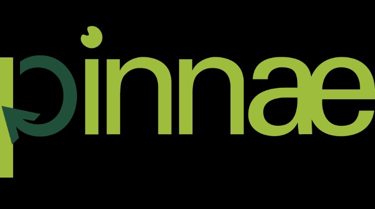 La Fundació Pinnae dona suport amb 300.000€ a 18 projectes socials de la vegueria penedès per la III Convocatòria d’Impuls Social al Territori. 
#pinnae #pinnaeimpulsa #Convocatoria2020 

pinnae.cat/la-fundacio-pi…