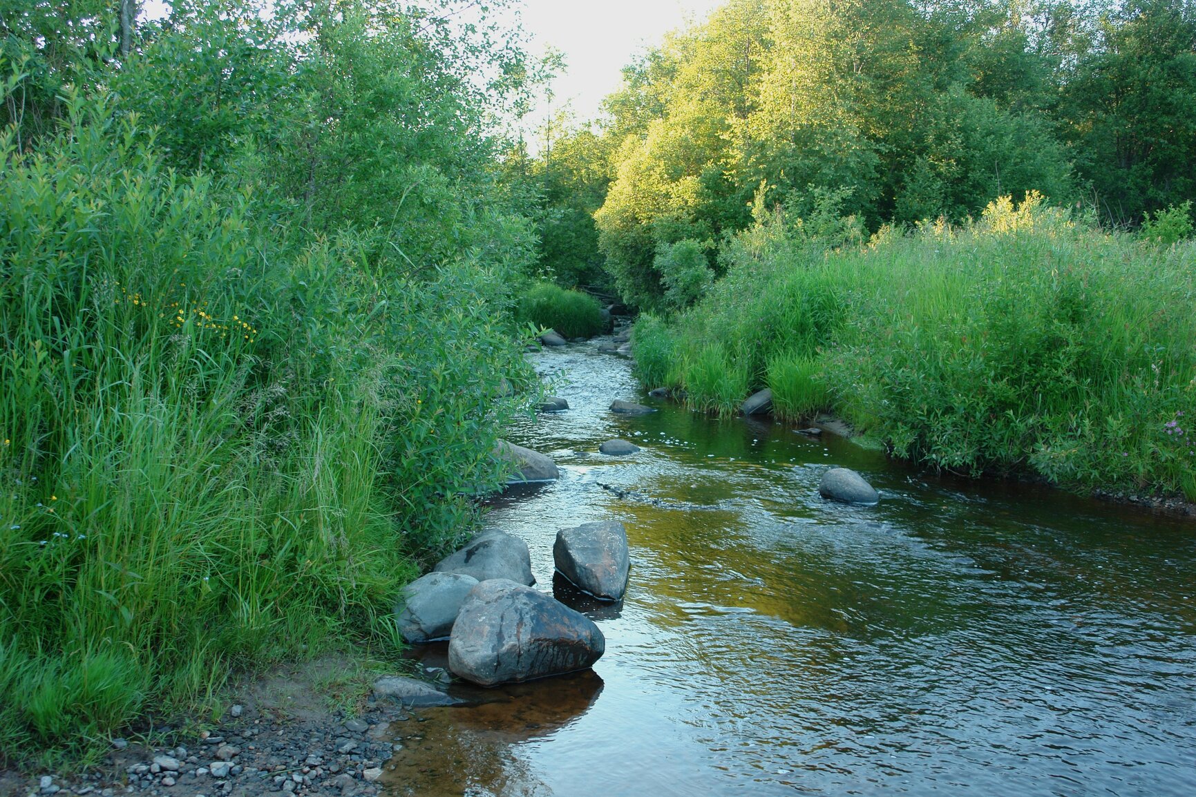 Река Кичуга