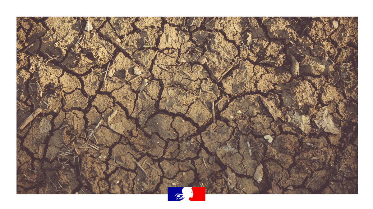 Prefet67's tweet photo. #Sécheresse | Le Bas-Rhin passe en état d'alerte. Cela s'accompagne de mesures de restriction de l'usage de l'eau
❌remplissage des piscines privées
❌arrosage des pelouses
❌lavage des véhicules
👉https://t.co/f8v0ge3Dgo https://t.co/Kcz1B0Mlpp
