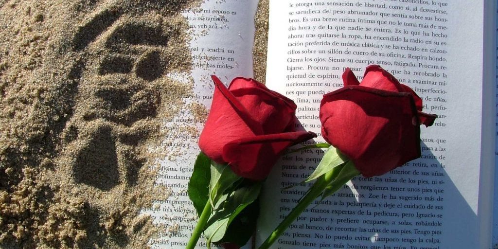 Fundació Catalana Síndrome de Down (FCSD) tweet media