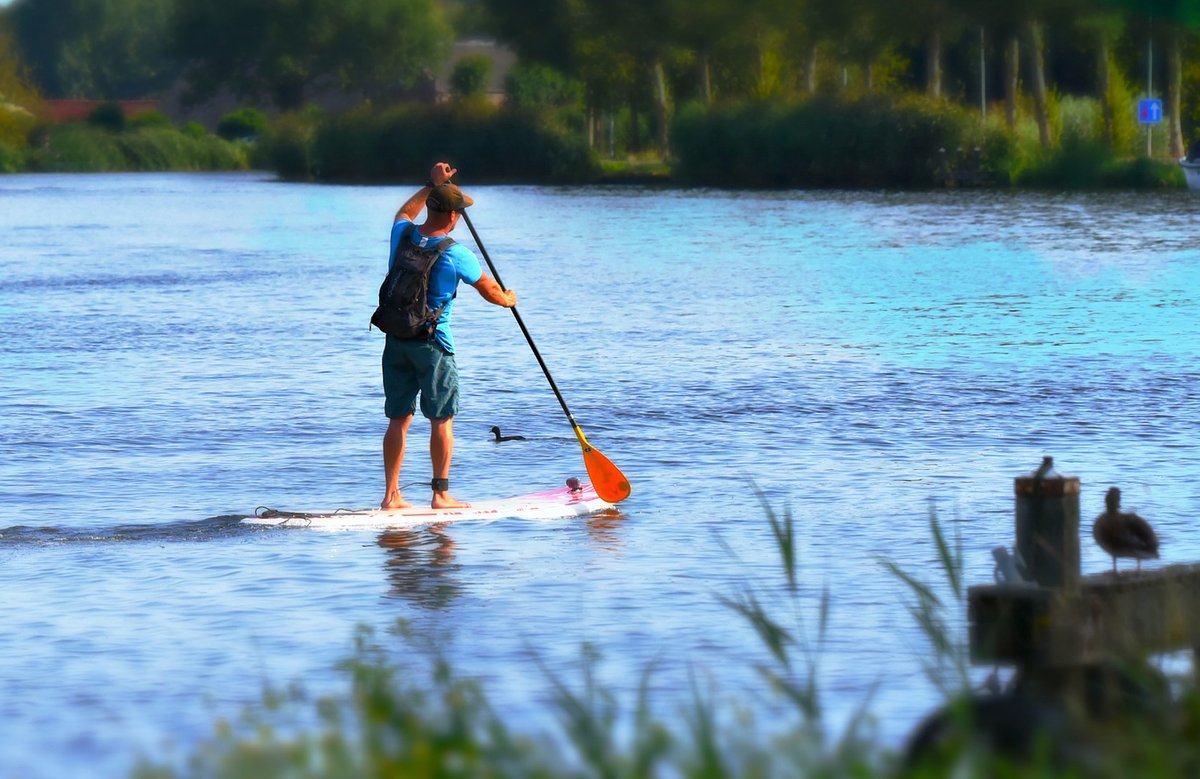 SVS_BirdLife's tweet photo. Stand-Up-Paddling ist zum Breitensport geworden. Für die Vögel bedeutet das mehr Störungen und Stress. Es ist daher wichtig, einige  Regeln befolgen. ZB: keine Vögel aufscheuchen, Naturschutzzonen nicht befahren, mind. 100 Meter zu Schilfufern.
Merkblatt: https://t.co/UbSr5DIxWf https://t.co/To6cDK1iGP