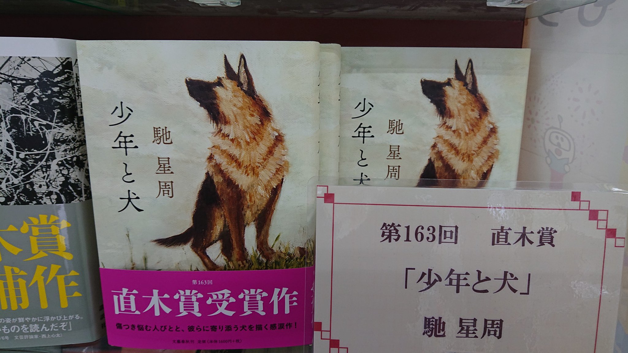 少年 と 犬 直木賞 直木賞受賞 少年と犬 あらすじやをネタバレ 読書感想文におすすめの魅力満載 Amp Petmd Com 少年 と 犬 直木賞 直木賞受賞 少年と犬 あらすじやをネタバレ 読書感想文におすすめの魅力満載 Amp Petmd Com