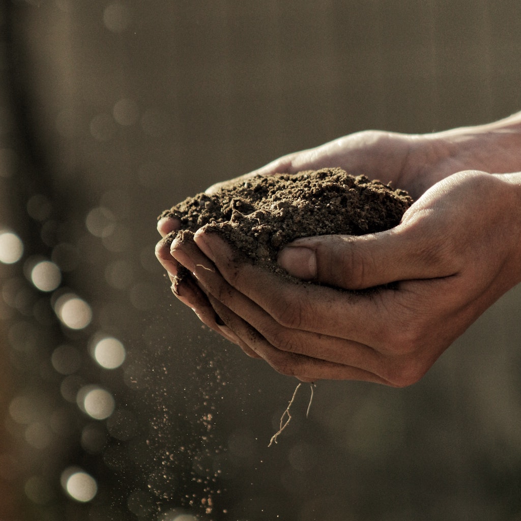 FertilizerNews's tweet photo. Integrated Plant Nutrient Management involves using both organic & mineral fertilizers 🌱
This approach has been proven as the best method for sequestering soil carbon on farmland to reduce GHG levels in the atmosphere ☁️
Learn more in our #IPNM paper 👇
https://t.co/rG033ptESj https://t.co/Ulv0UK4vwF