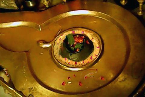 Dhaksheswar Mahadev Mandir.-The present temple was built by Queen Dhankaur in 1810 and rebuilt in 1962.This place believed to be where Daksh performed the Yajna where he haven't invited Shiva & Sati. Shivlingam here is the neck portion of Daksha,who was decapitated by Rudra.