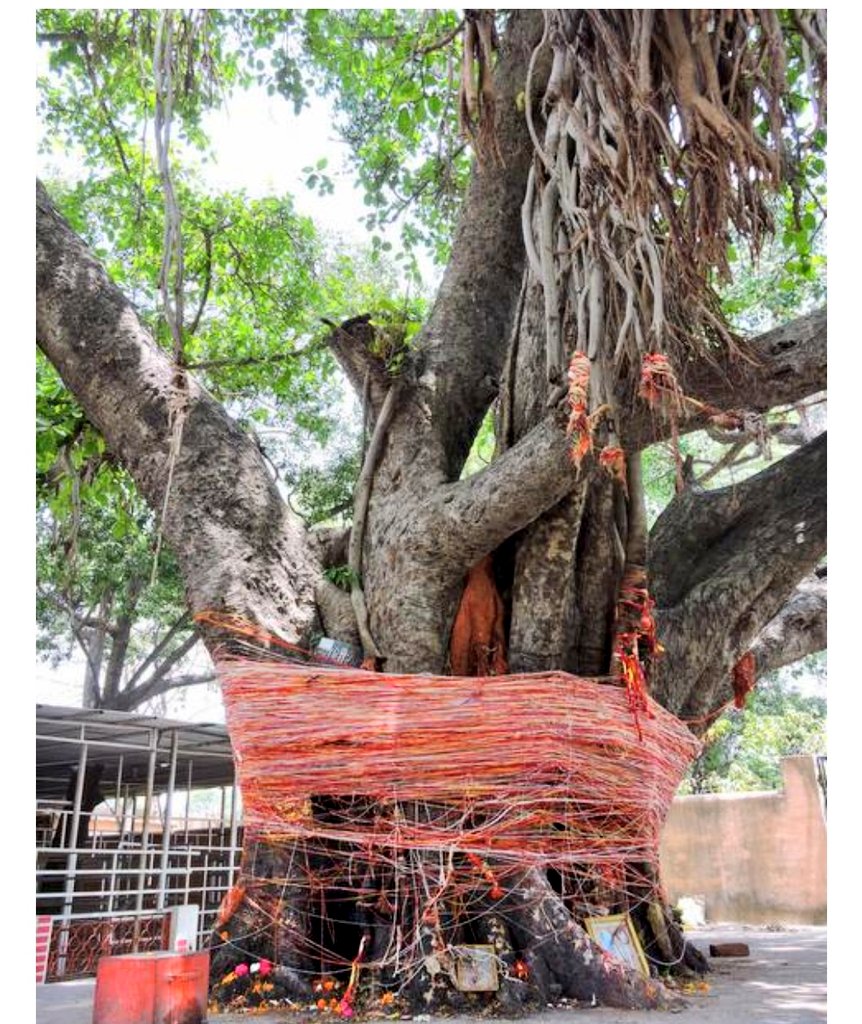 Dhaksheswar Mahadev Mandir.-The present temple was built by Queen Dhankaur in 1810 and rebuilt in 1962.This place believed to be where Daksh performed the Yajna where he haven't invited Shiva & Sati. Shivlingam here is the neck portion of Daksha,who was decapitated by Rudra.