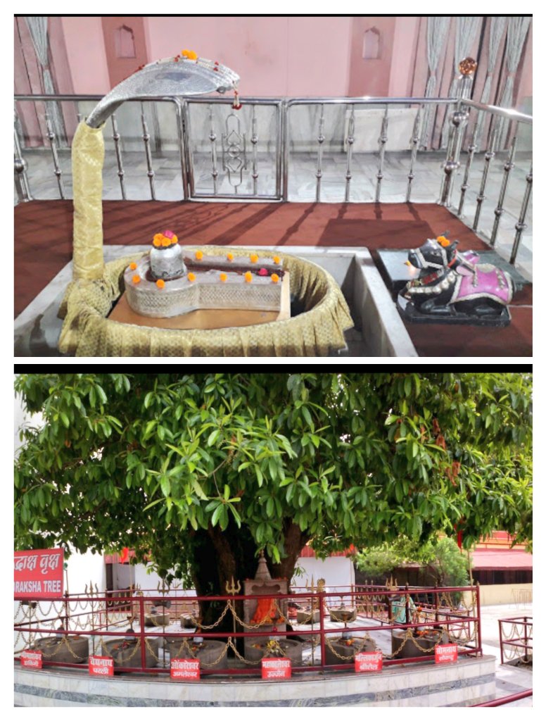 Other temples in Kankhal. -Das MahaVidya Temple of Maa Shakti.-Temple dedicated to Maa Ganga. -Shri Yantra Temple-Pardeshwar Mandir-It has parad shivlinga(Mercury Shivlinga)its in Harihar ashram,also having an old Rudraksh tree. Having pratima of 12 jyoitlings in surrounding.