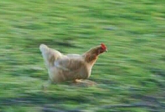icaruzzotb's tweet photo. Yo yendo de una radio a otra
#10YearsOfOneDirection https://t.co/uPlZvhMw9y