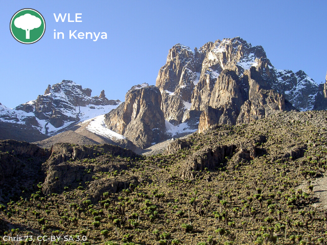 Wikimedia Community User Group Kenya tweet media