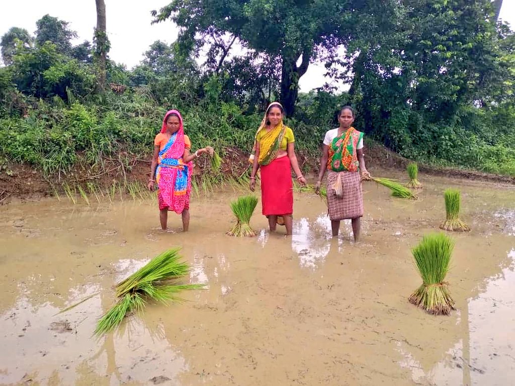 onlineJSLPS's tweet photo. रिपोर्ट- सावित्री देवी,संवाददाता सखी, धनबाद
पहाड़ी गांव में समूह की दीदियां खेती के कार्य में जुटी हैं। इनका कहना है कि इस विकट परिस्थिति से बाहर निकलने के लिए हर कोई प्रयासरत है।
हमारा भी यह प्रयास है कि आने वाले समय में लोगों को अन्न की समस्या ना हो।
@HemantSorenJMM https://t.co/rk9TgWOUg2