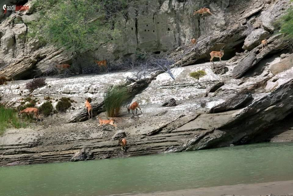 Some Beautiful Picnic Points of Balochistan 21. Makran Coastal Highway Baluchistan22. City of Caves Lasbella23. Enough Beach24. Hingol River