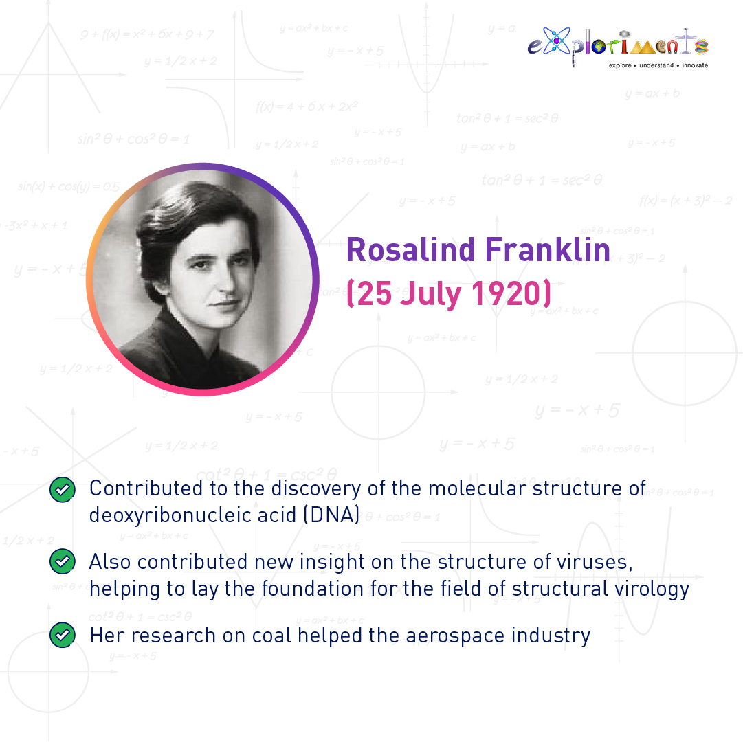 exploriments's tweet photo. Rosalind Franklin, in full Rosalind Elsie Franklin, (born July 25, 1920, London, England—died April 16, 1958, London), British scientist best known for her contributions to the discovery of the molecular structure of deoxyribonucleic acid (DNA), 

#Exploriments #ScientistBirthday https://t.co/1DsamF3z2i
