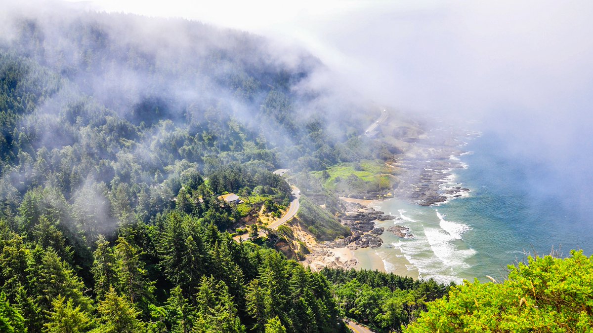 tiogatours's tweet photo. In het noordwesten van Amerika vind je zowel vulkanische landschappen als helderblauwe meren en dorre prairies. Maar dat is niet alles, er wachten ook nog mooie (muziek)steden op je! 🎶

Hoog tijd voor onze top 10 bezienswaardigheden in Noordwest-Amerika: https://t.co/lSwogTNujs https://t.co/BKgrA8lrFH