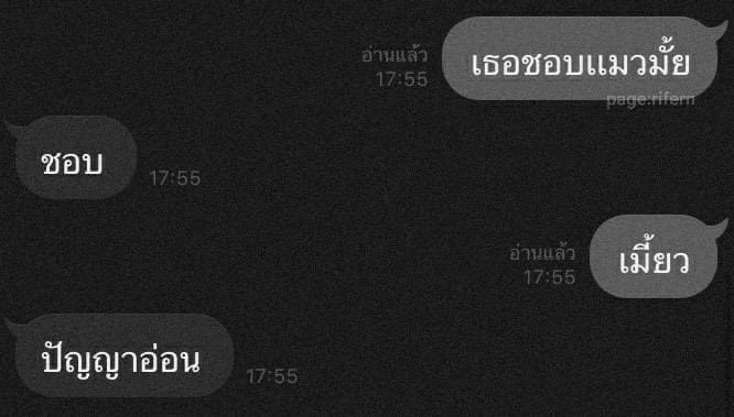 𝐚𝐦𝐞𝐫𝐢𝐜𝐚𝐧𝐨 tweet media