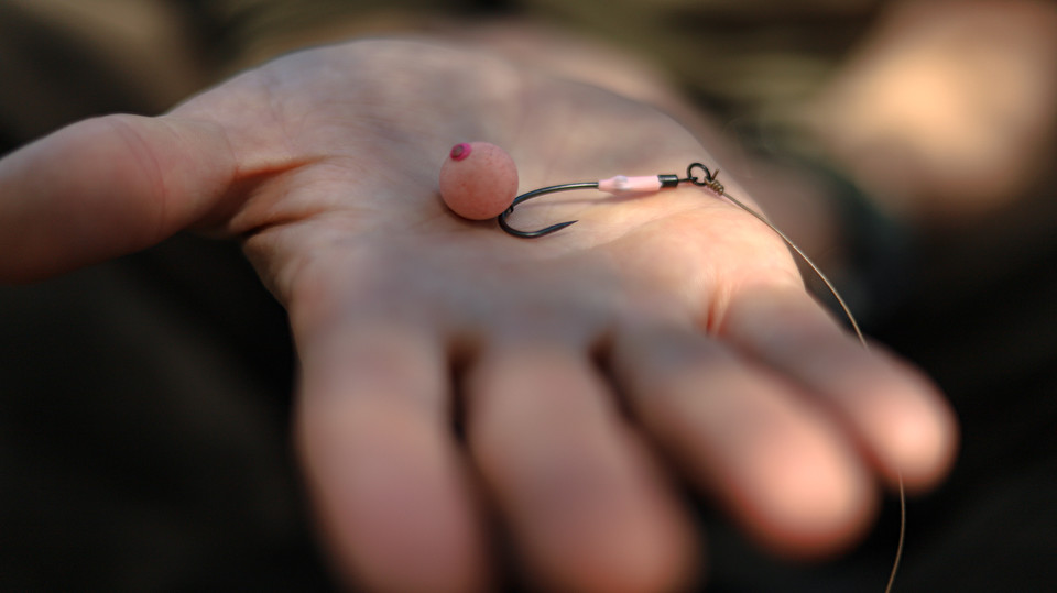 HoboArmour's tweet photo. FULL RANGE OF END TACKLE AVAILABLE NOW

CLICK HERE: https://t.co/6WJhSqwCr7

🙏like the page
➡️ leave a comment
👍 like the post

#carpfishing #carp #fishing #carpfishinglife #karper #karpervissen #karpfen #karpfenangeln #hoboarmour https://t.co/qg8aSyjfvE