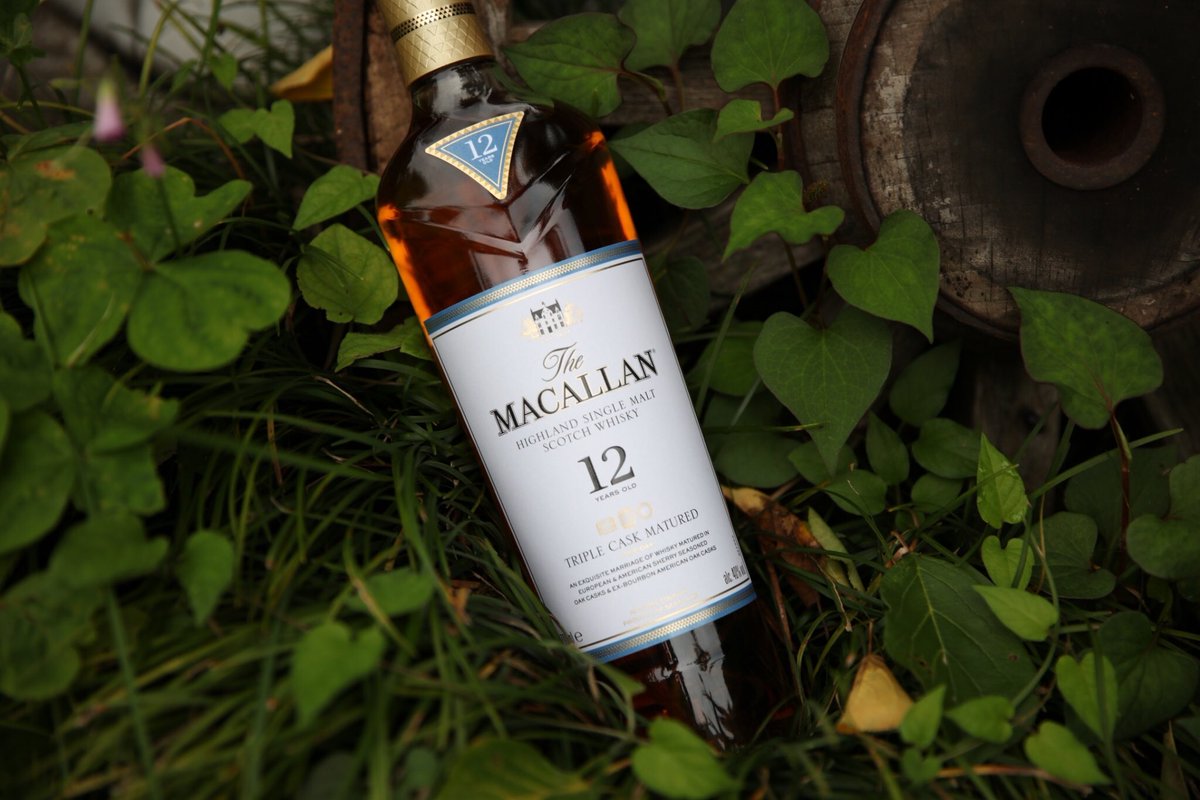 PicsWhiskey's tweet photo. 『MACALLAN DOUBLE CASK12yo』

ファインダー越しのマッカランカッコイイよね。
#写真 #photo #whisky  #秩父 #ウイスキー #MACALLAN #whisky #whiskey #homebar #themaltcask #whiskygeek #whiskygram #whiskeylover
#whiskylover #malt #alcohol https://t.co/9h5CnUCGoY