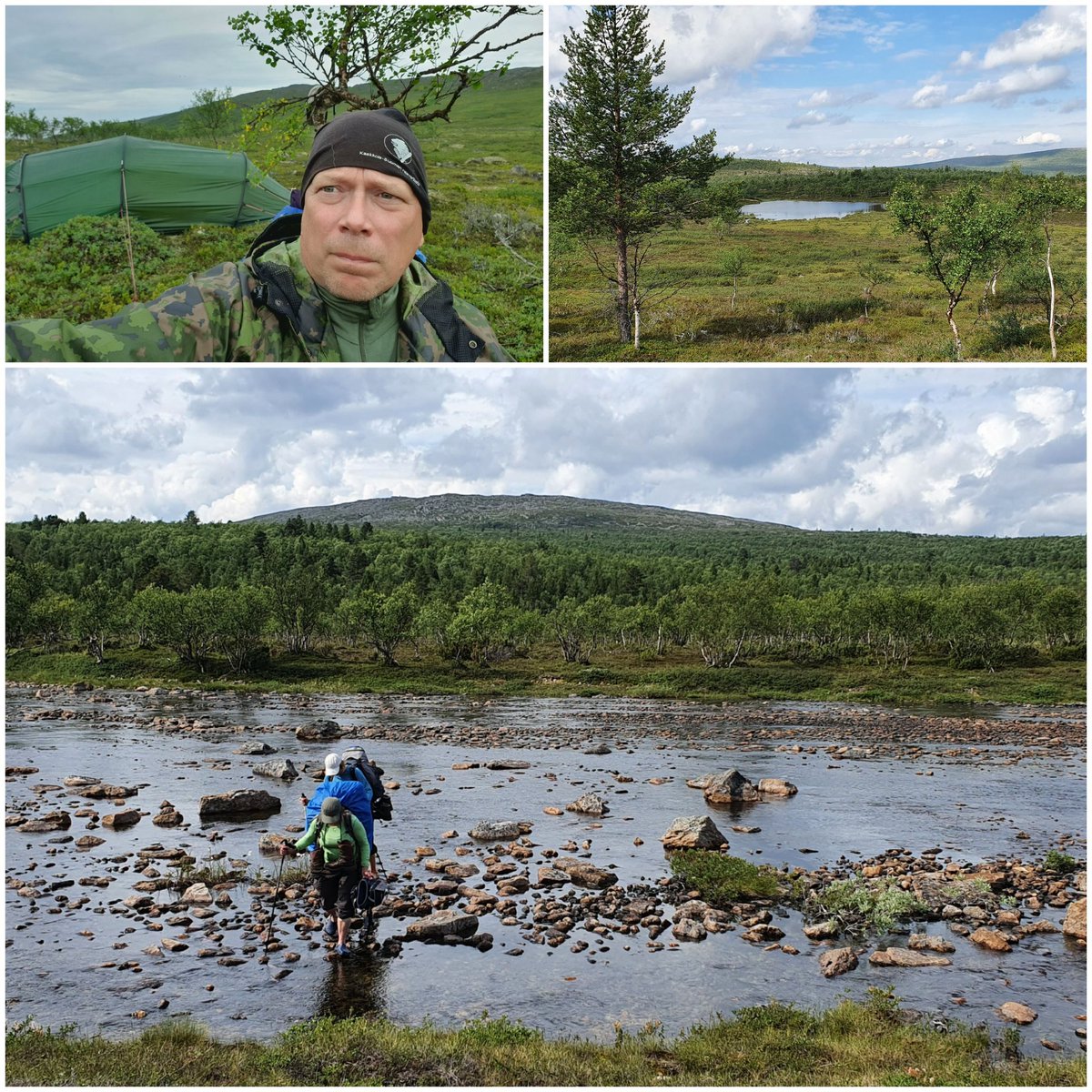 RistoSavelius's tweet photo. Mieli lepää, vaikka ilme onkin välillä vakava🤦♂️😂
#Muotka #erämaaalue https://t.co/zP9DugXQGm