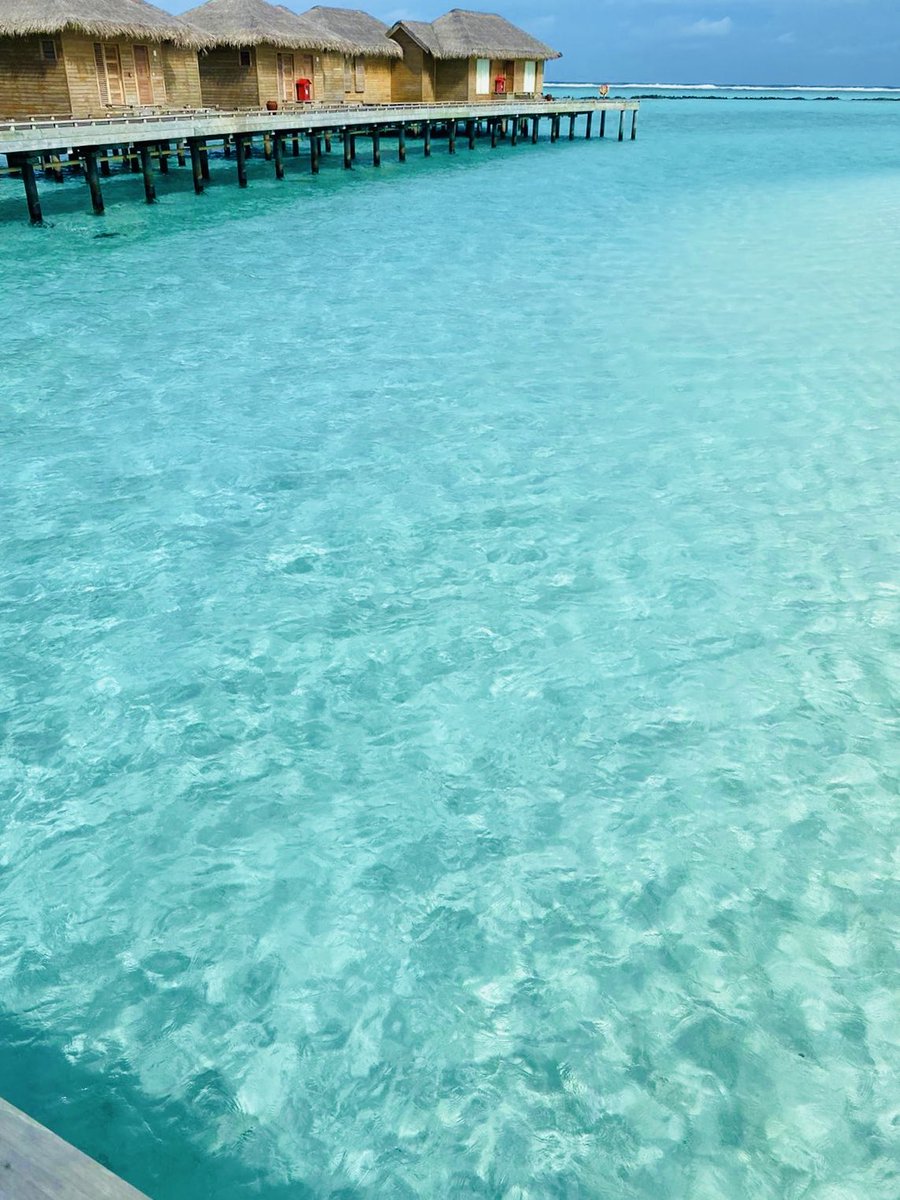 Happy, happy #ThankfulThursday Twitter family!  What are you thankful for today? #BuenaVista 
<a href="/Best_of_Tara/">Best_of_Tara</a> <a href="/PenQuinTours/">PenQuin Tours🐾</a> <a href="/sl2016_sl/">Seema</a> <a href="/carpediemeire/">John @CarpeDiemEire</a> <a href="/wayamayatravel/">wayamaya 🏝 travel couple ✈ Kim & Matt</a> @JetsettersFlyin <a href="/travchats/">Travchat</a> <a href="/holidayinspect2/">holidayinspector</a> <a href="/tangoandrakija/">Tango & Rakija | Food &Travel Blog 📸</a> <a href="/perthtravelers/">Perthtravelers (Wendy)</a>  <a href="/JustUsTwoTravel/">Just Us Two Travel</a> <a href="/WorldComplete1/">World Complete</a>