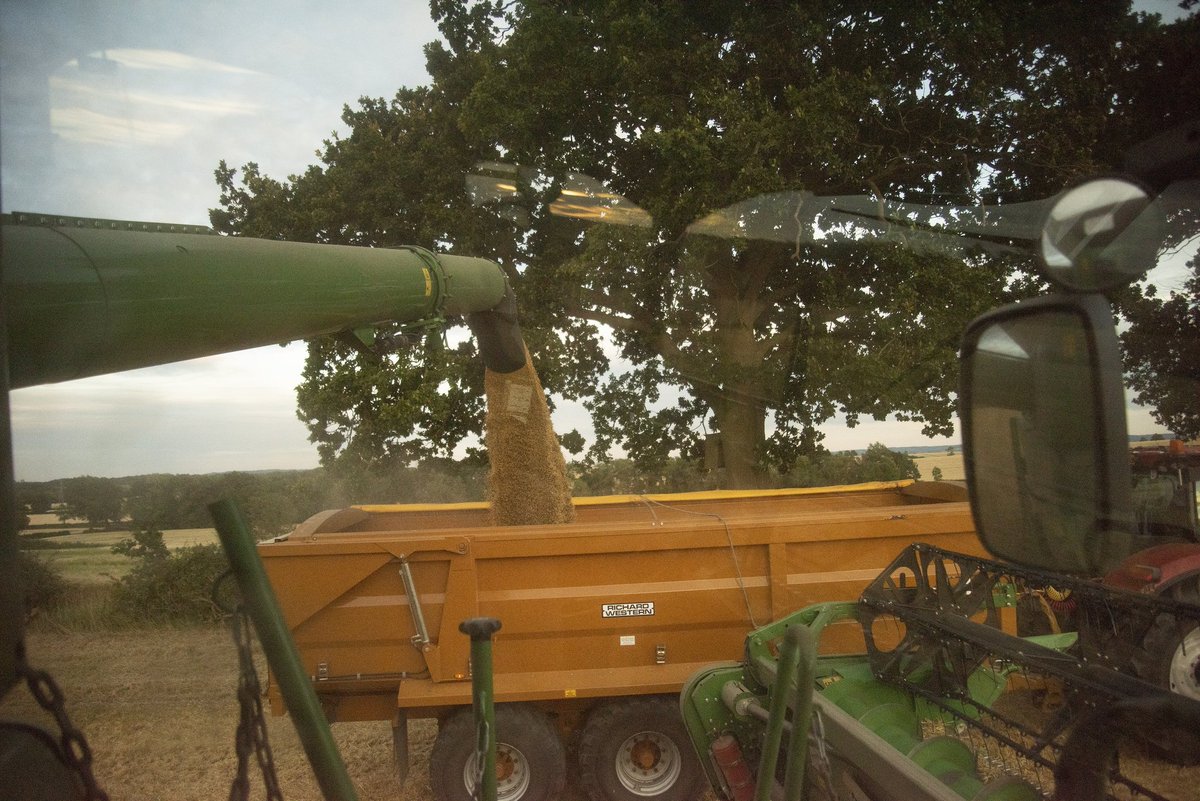... And we're off! #harvest2020

OSD done and into the barley already. Had to head up to my favourite field (to shoot) last night as I just knew the sunset backdrop would be beautiful!!

@bigALLYofAscott #ascottfarms #livelovefarm #farmerswifeuk