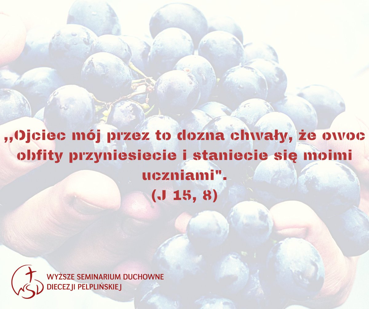 WSD_Pelplin's tweet photo. Bądź uczniem Pana! 🤠 I pracuj w Jego Winnicy! 🍇 Trwa rekrutacja do naszego seminarium. Zapraszamy! https://t.co/9xDyLvsCWT
