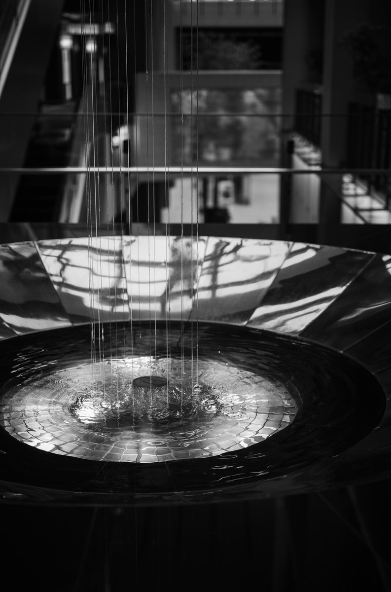 hamaaashoooo's tweet photo. #ツリーシャワー #treeshower 

#東京ミッドタウン
#roppogi #tokyo

#モノクロ #monochrome 
#白黒 #bw #blackandwhite 
#monochromephotography 

#ライカ #leica 
#leicam10monochrom 
#aposummicron50 

#写真好きな人と繋がりたい 
#ライカ好きな人と繋がりたい 
#ファインダー越しの私の世界 https://t.co/EZyFrVY2XY