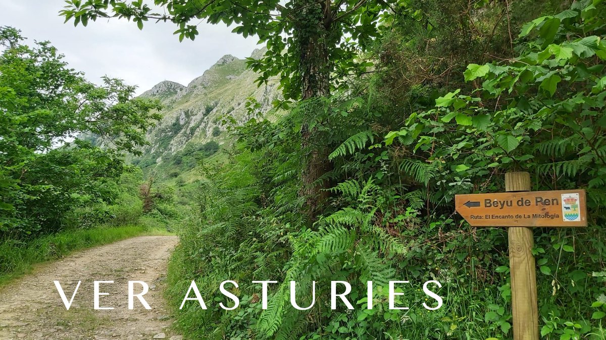 xixonaldia's tweet photo. 🌳 Camín de la ruta mitolóxica #Beyu #Pen n'#Amieva #Asturies #Asturias https://t.co/iqryJdkDtH