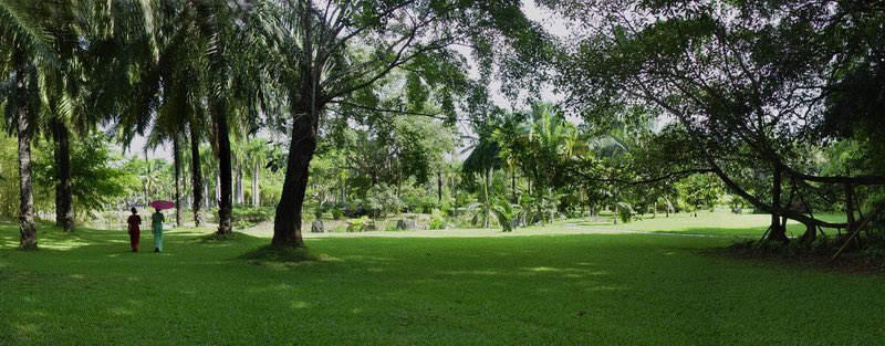 DiscoverBanna's tweet photo. Walk in #Xishuangbanna. #rainforest #Yunnan #travel https://t.co/I7danFihqq