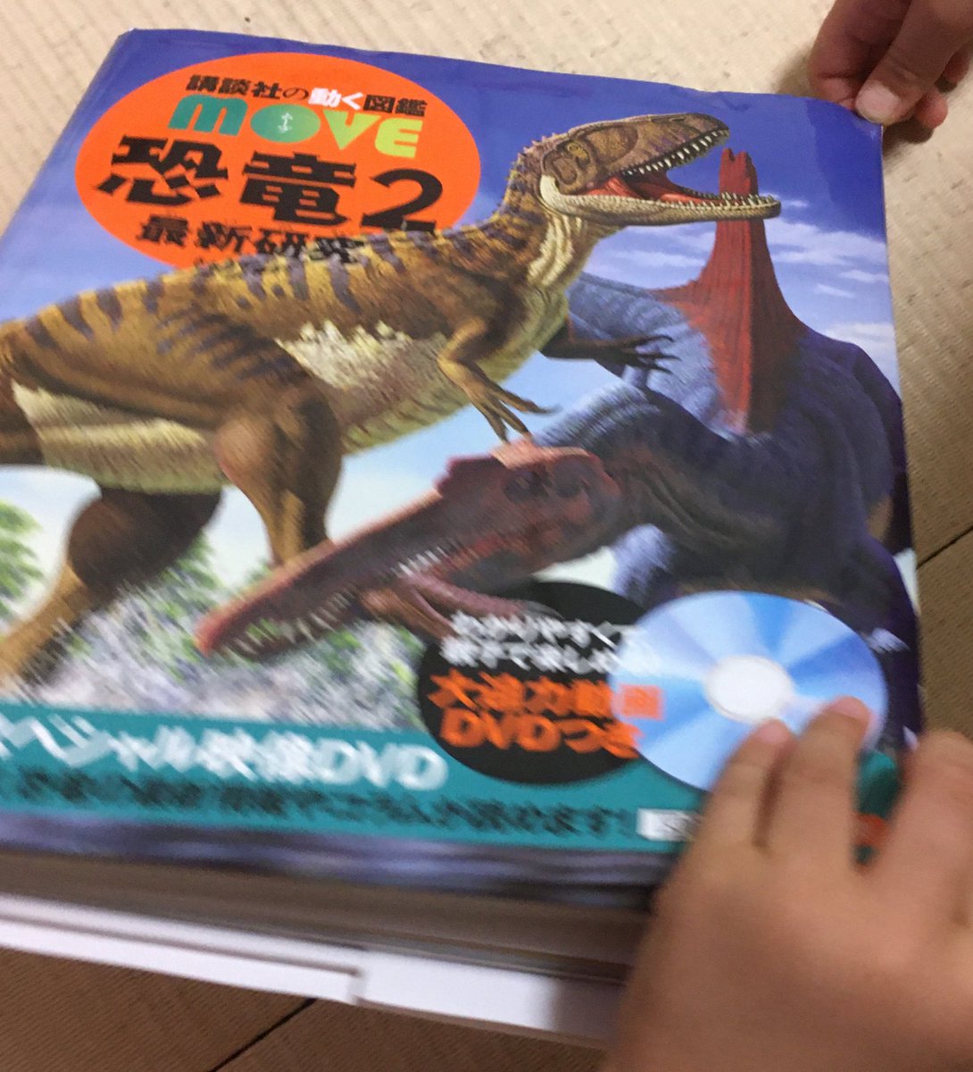 新しく買った恐竜図鑑に「ティラノサウルスはトリケラトプスの頭を引きちぎってから食べた説」が載ってて怖くて泣いた。 