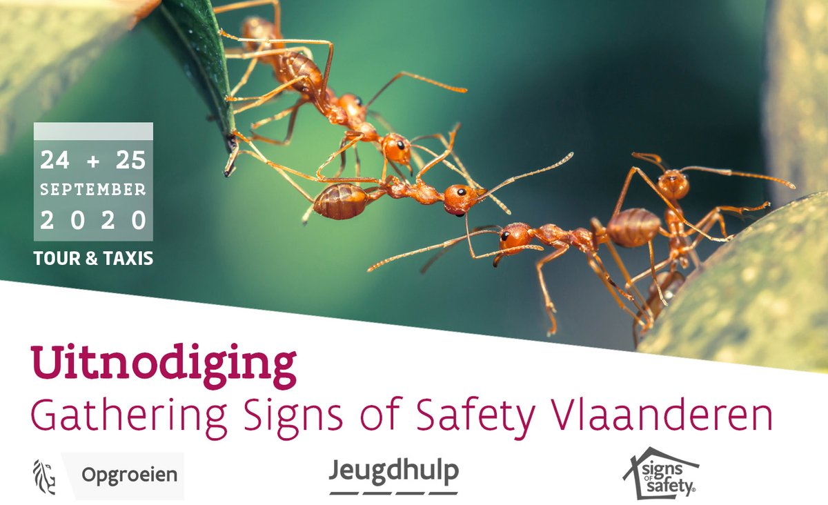JeugdhulpBE's tweet photo. Beleid en praktijk ontmoeten elkaar op #Gathering2020 #SignsofSafety met als centraal thema #Partnerschap: samenwerken voor veilig, omringd en geliefd opgroeien. Ben je betrokken bij kinderen en jongeren in een moeilijke leefsituatie? ๐ Schrijf je in via https://t.co/h7UXKsYsiZ https://t.co/6EHRVICOCZ
