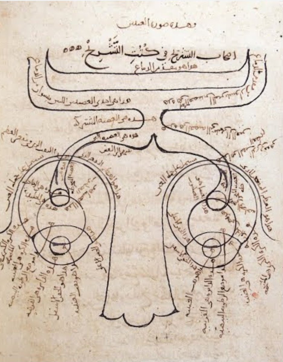 IBN AL-HAYTHAM(AlHAZEN) :The father of modern opticsFirst to demonstrate that vision occurs in the brain, rather than in the eyes & that vision occurs when light reflects from an object and then passes to one's eyesOne of the first to explain the concept of retina....