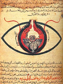 IBN AL-HAYTHAM(AlHAZEN) :The father of modern opticsFirst to demonstrate that vision occurs in the brain, rather than in the eyes & that vision occurs when light reflects from an object and then passes to one's eyesOne of the first to explain the concept of retina....