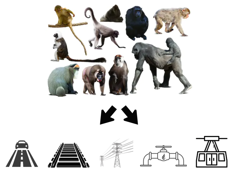 punkprimate's tweet photo. 1/6 #HumWild1 #DICECON20 One of the greatest (and sometimes overlooked) threats to primates is that of transportation &amp; service corridors: roads, railways, power lines, oil-gas-water pipelines, seismic exploration lines, and aerial tramways. What is the extent of their impact? https://t.co/w8DXRBUFMi