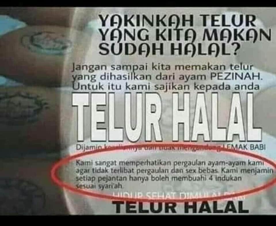 Dibutuhkan segera wedding organizer untuk pesta kawinan pithik,
Agar pithik2 tidak zina jadi ndognya halal.

Ya Allah angele urip...
