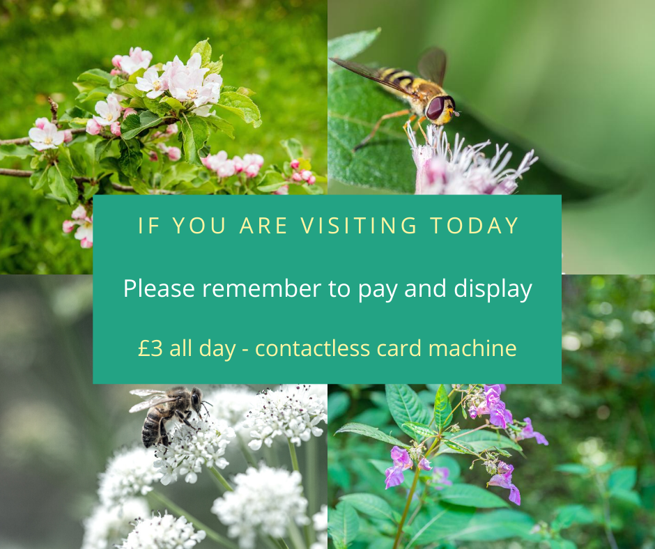 Bryngarw Country Park is managed by a registered charity, Awen Cultural Trust. Income generated from our car parking charges is invested into the maintenance and upkeep of the Country Park, and to improve facilities for our visitors. 
Thank you for your support.