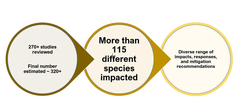 punkprimate's tweet photo. 3/6 #HumWild1 #DICECON20 Thus far, over 270 studies have been reviewed (with many more to go). Results show that primates are impacted by transportation &amp; service corridors throughout their entire global range: Africa, Madagascar, Asia, South America, and even Gibraltar! https://t.co/uzpe6rO3X7
