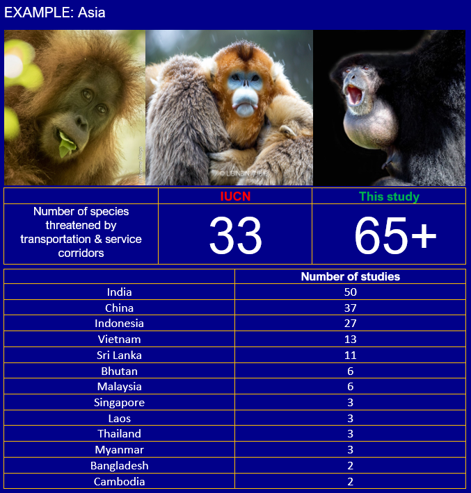 punkprimate's tweet photo. 4/6 #HumWild1 #DICECON20 Results so far show that the impact of transportation &amp; service corridors on primates has been underestimated. Many more species have been shown to be threatened by them than are listed by the @IUCNRedList (just 92 species). Lots of knowledge gaps exist. https://t.co/7L6oMB7Fyj
