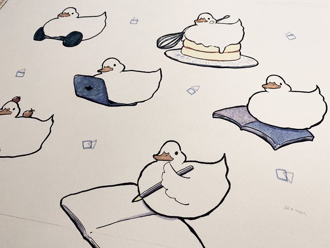 stay home ducks 
