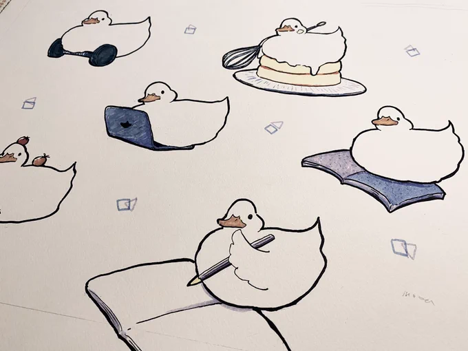 stay home ducks 