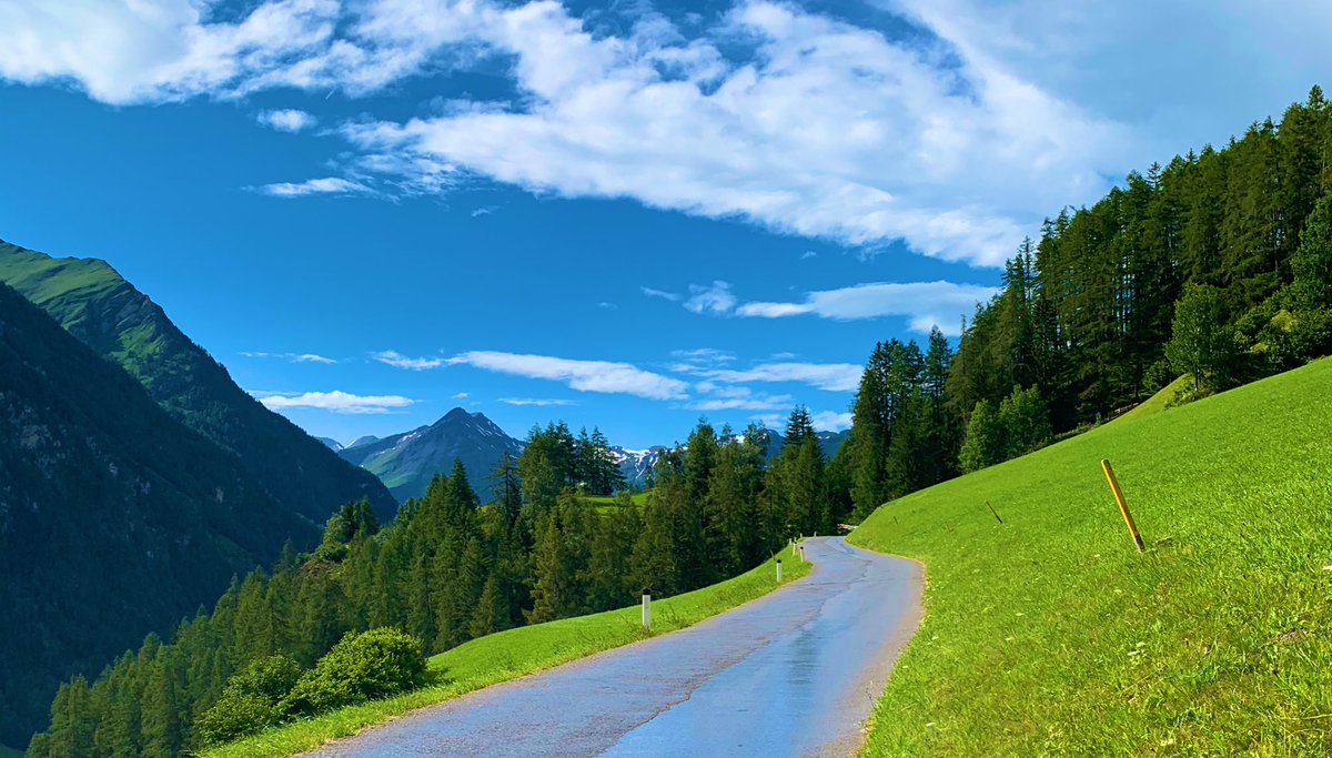 Thomas Schmidt tweet media