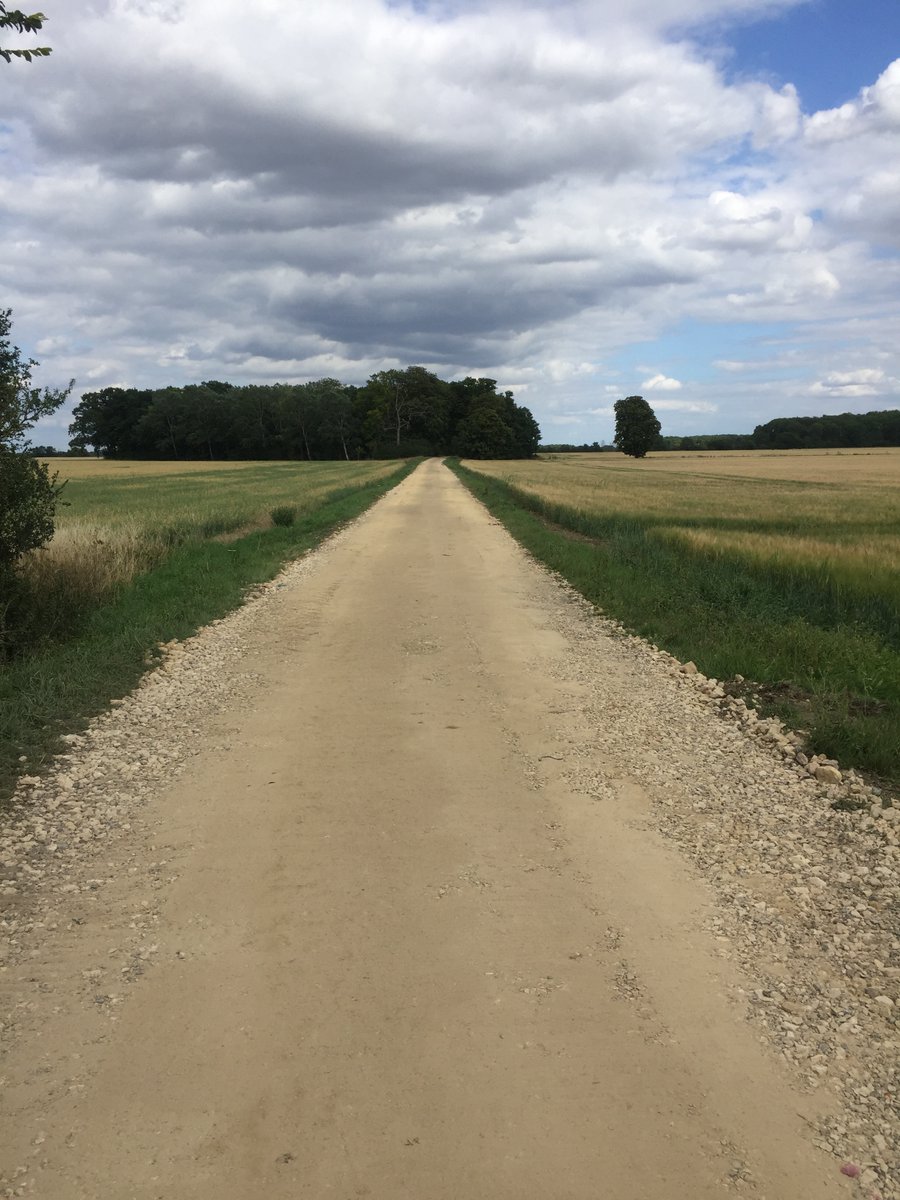 WilliamMorfoot's tweet photo. Giving these #farm #tracks a makeover this week. Our #kirpy Track recycling machine rejuvenates tired track and re-uses existing material where it is already present. All ready for carting the harvest in from the surrounding fields in a few weeks time. https://t.co/Rk2sx5zz4U