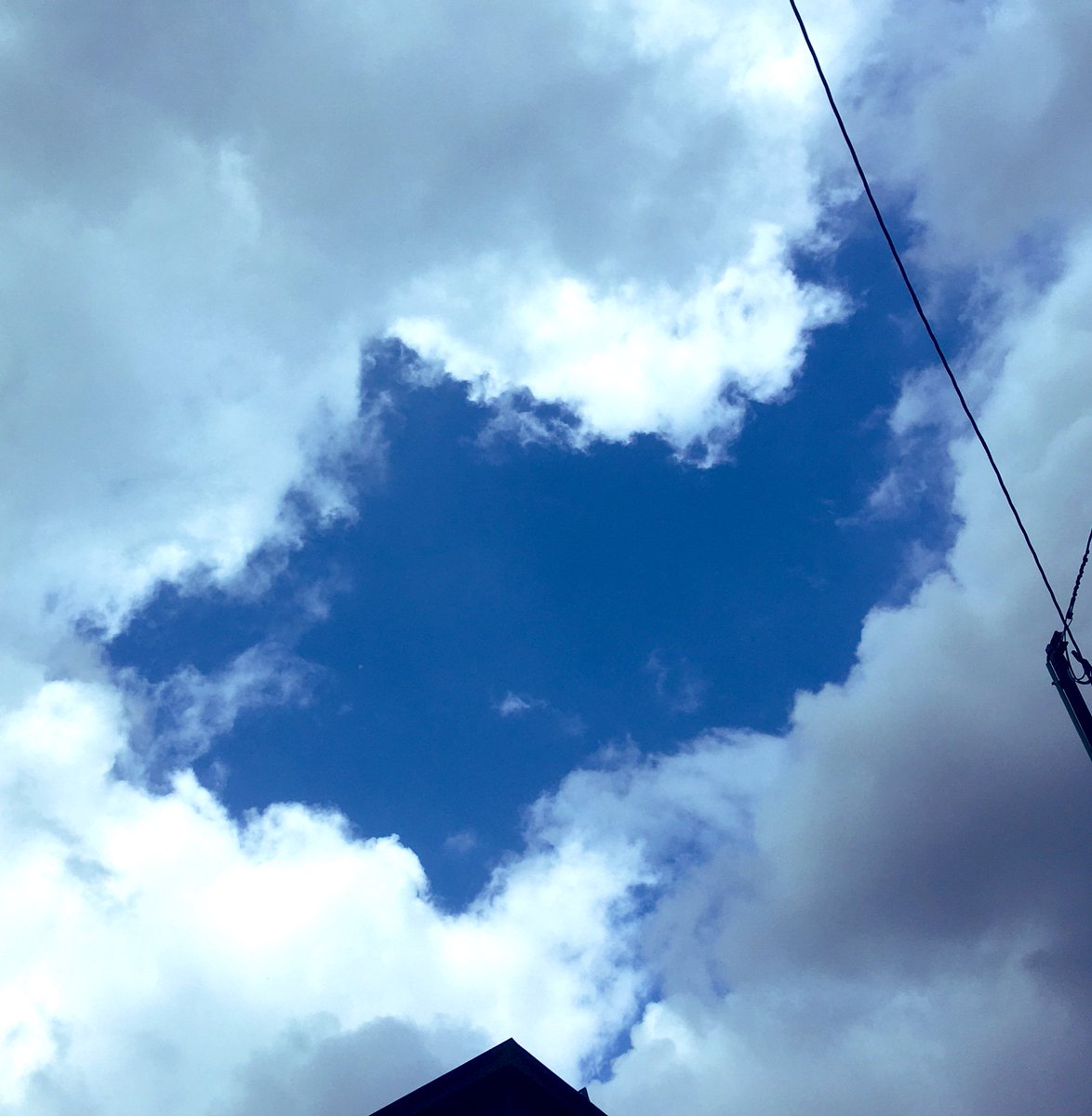 木曜の怪談 Twitter Search Twitter