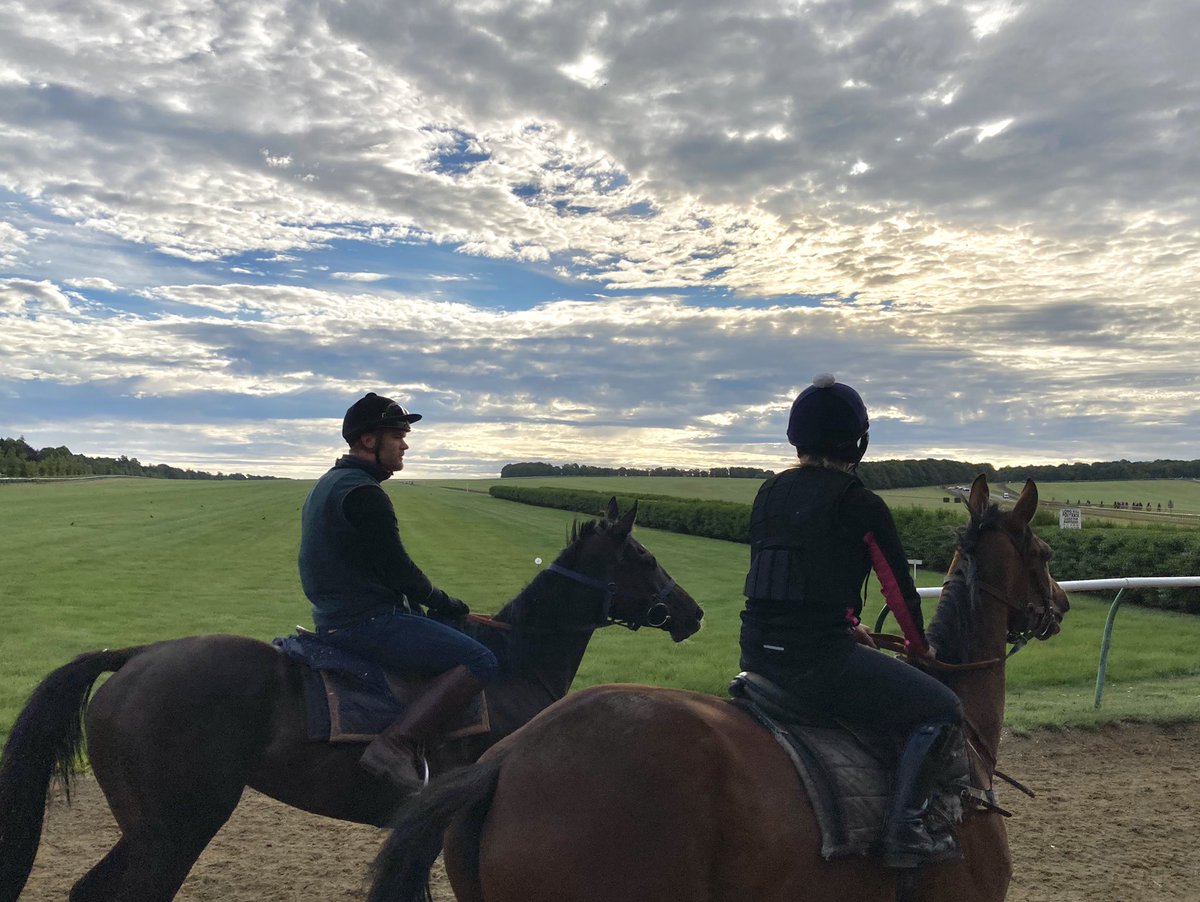 JohnWathenBerry's tweet photo. Another very warm, very pleasant morning @NewmarketGallop. A fair bit of cloud in the sky early on but that’s dispersing #Surooj #Alsamara @Potts_Adam @FionaDowling12 https://t.co/pSpB8xiLVb