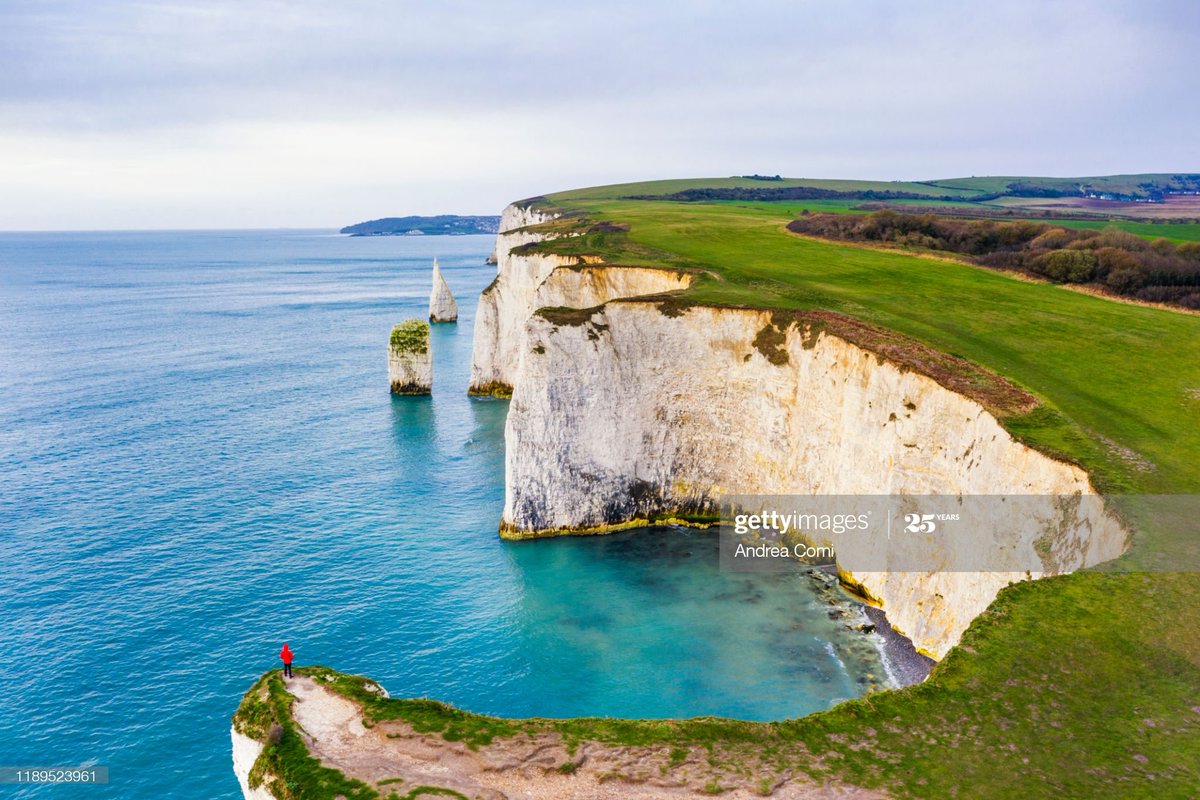 James S Thambyrajah tweet media