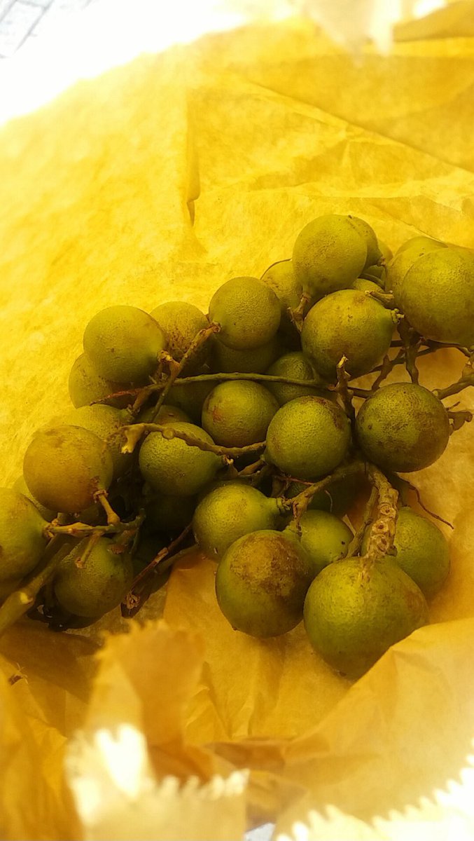 mindofmica_'s tweet photo. My West Indians know😋😋 #guinep #chenet #quenepa https://t.co/cXrofyYjPB