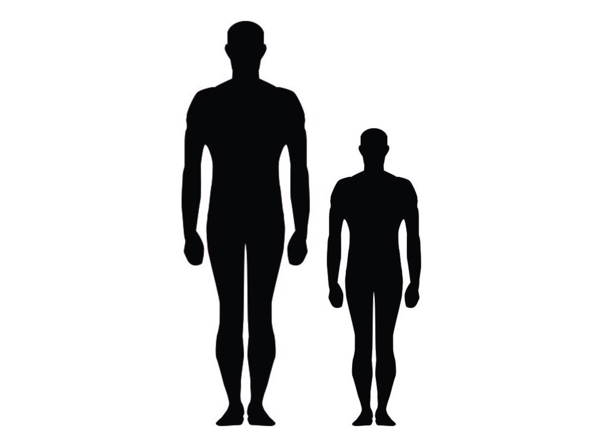 Height difference. Рост человека. Рост человека силуэт. Линия роста человека. Интенсивный рост человека.
