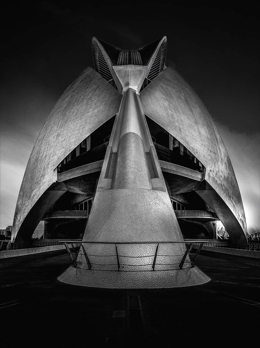 Space-Age 
#architecture #architecturephotography #architecturelovers #symmetry #bwphotography #monochrome #abstractart #futuristic #ciudadartesciencias #valencia #spain #ig_spain #igshotz #ig_captures #ig_architecture #ig_shotz_bw #wbpa #1x
instagram.com/p/CC84VXkgwBc/…